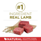 Purina ONE Plus Dry Dog Food for Adult Dogs, Real Protein Rich Natural Lamb & Rice Formula, 40lb Bag