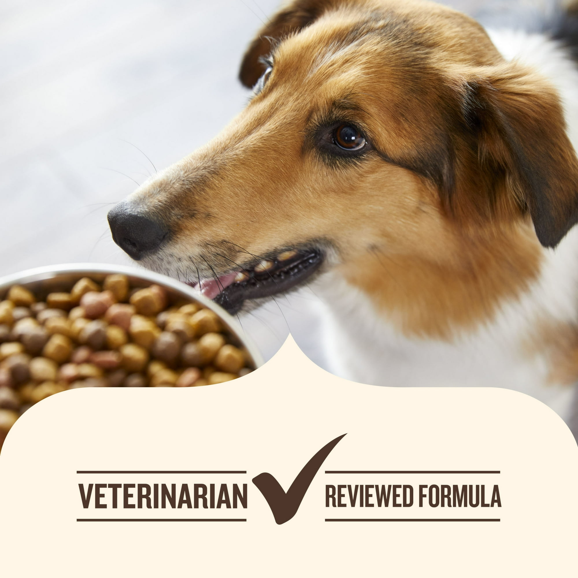 Rachael Ray Nutrish Dry Dog Food.